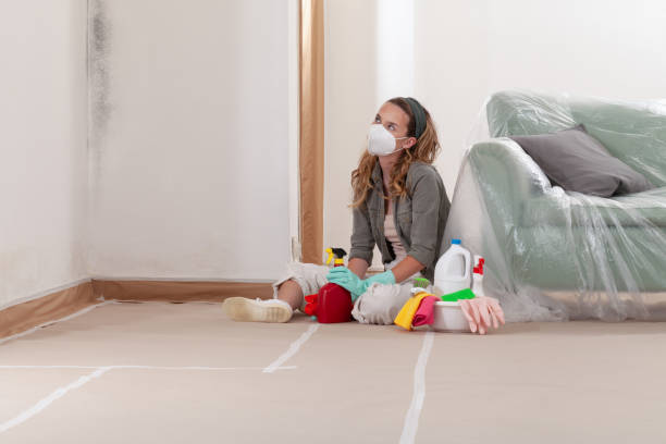 Reliable Black Mold Remediation contractor in Angier, NC by Mold Remediation HQ